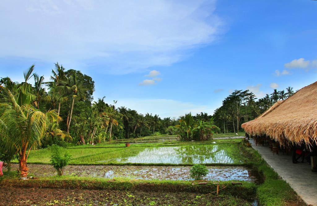 Sapulidi Resort Spa & Gallery Bali Убуд Екстериор снимка