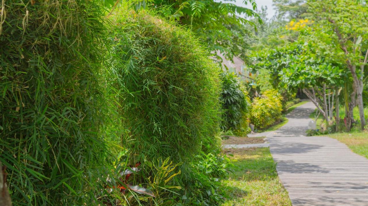 Sapulidi Resort Spa & Gallery Bali Убуд Екстериор снимка