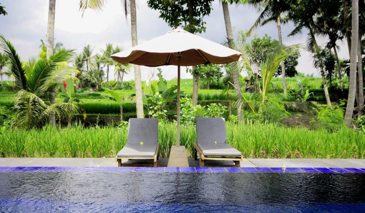 Sapulidi Resort Spa & Gallery Bali Убуд Екстериор снимка